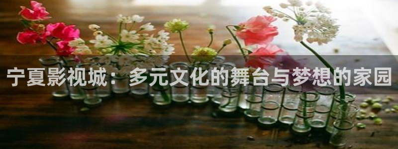 酷客影视伦理：宁夏影视城：多元文化的舞台与梦想的家园