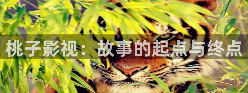 酷客影院免费完整版：桃子影视：故事的起点与终点