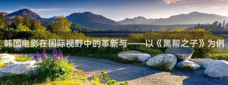 酷客影院交换的一天：韩国电影在国际视野中的革新与——以《黑帮之子》为例