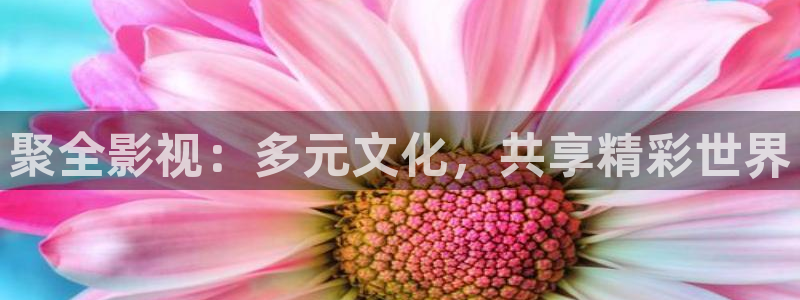 酷客影院手机在线观看