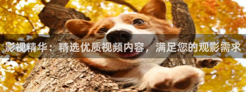 酷客影院免费版在线观看